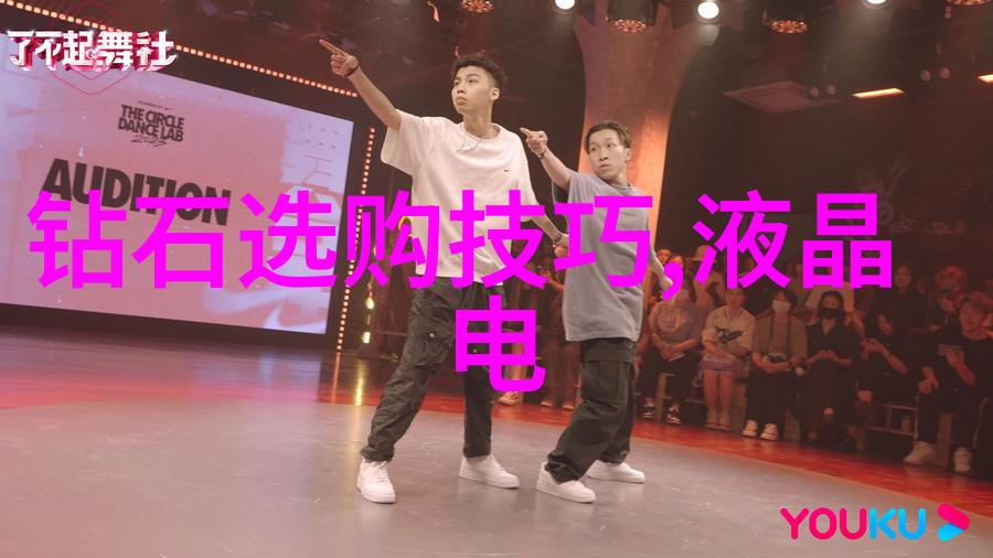 宠物美容师职业发展与兽医健康管理的互动机制研究