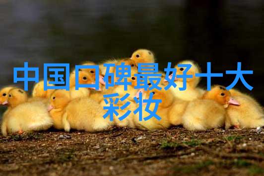 中国文化部推广中华文化保护传统艺术