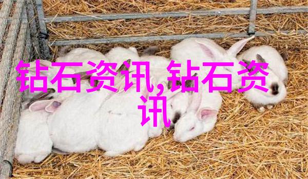 雷锋与其他志愿者之间有什么样的互动和合作案例吗
