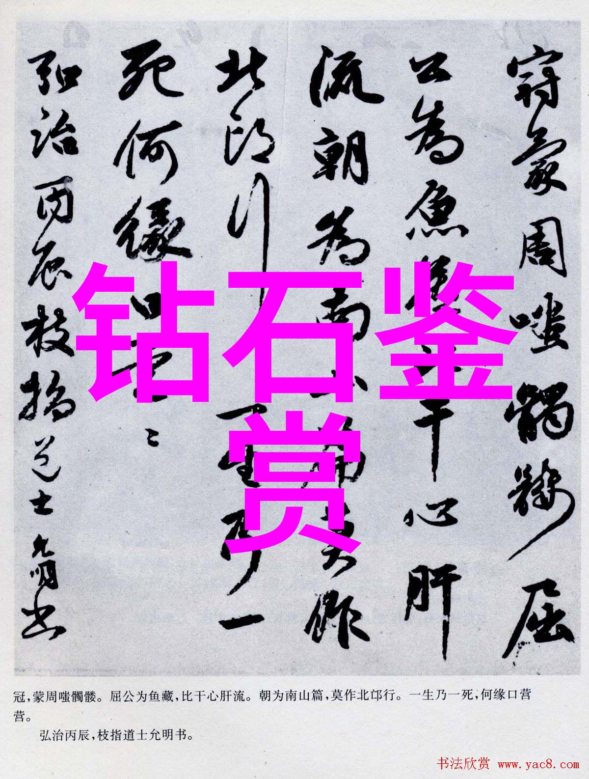 小清欢番外孩子-回忆里的笑声与花瓣的香甜