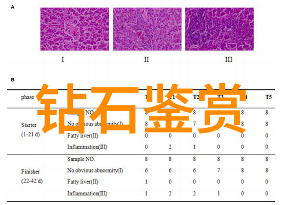 智能化革命电子技术如何重塑我们的未来世界