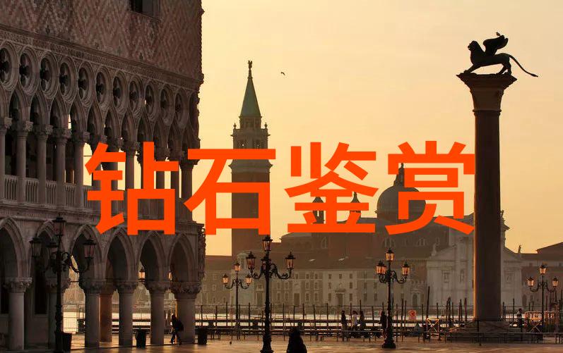 我我的导演梦从剧本到大银幕