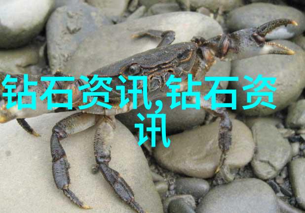 探究中国文化的丰富内涵传统艺术与现代交流的交融