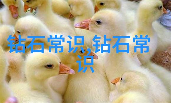 缅甸翡翠鉴定技巧全解密揭秘宝石市场上的真伪标准