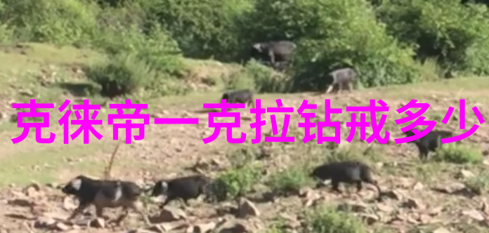 玉最简单的鉴定方法-轻触秘笈揭秘玉石的真伪
