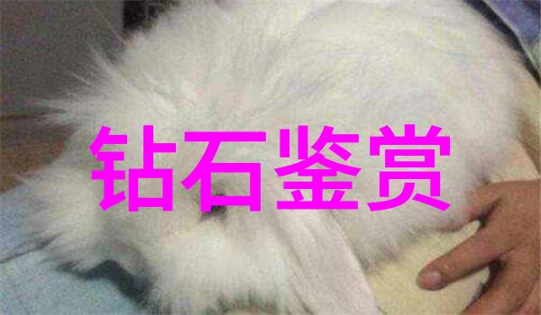 3D打印在零件加工中的应用