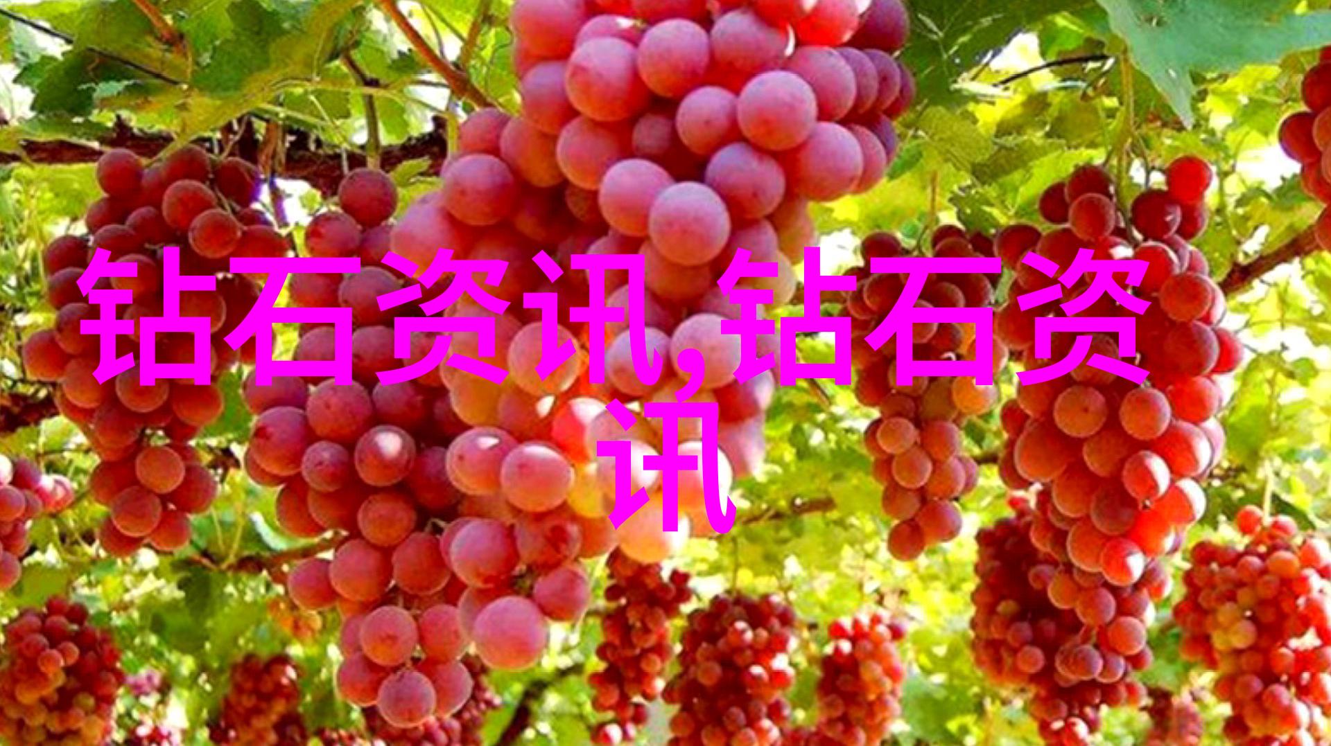 玉文化知识我是如何在古董店里发现一块流年如歌的玉佩的