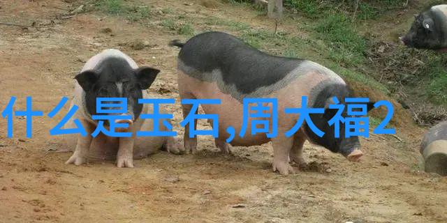 猪哥三人行盖房记