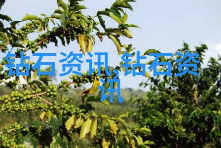 天然缅甸翡翠绿意盎然的珍宝