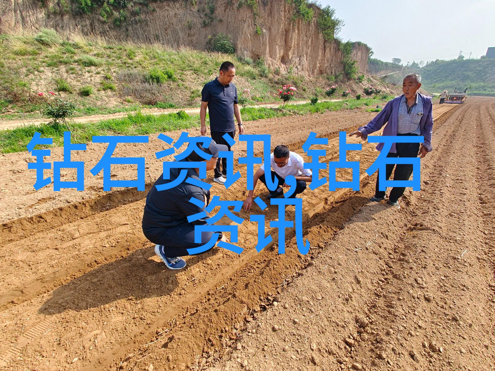 在废土之上末日重生种田者的新篇章