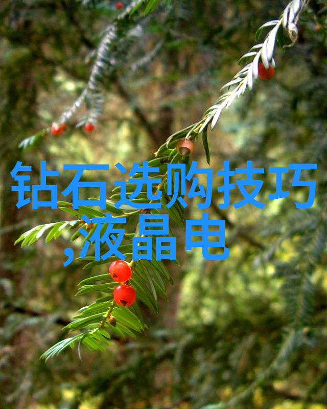 男人大鸟图雄鹰的孤独探索男性在社会中的角色与象征意义