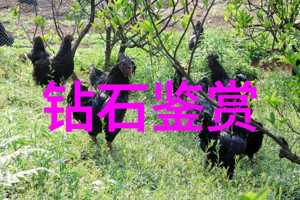 职业通行打造人脉网络的艺术