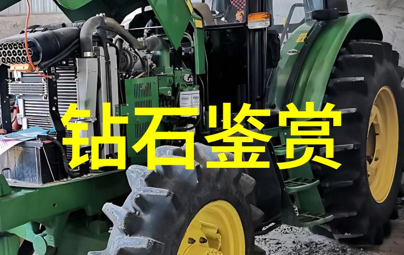 纸张上的一段传奇六年级学生的写作挑战