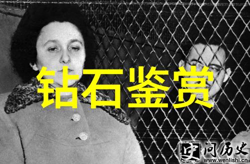 姐姐5免费完整高清电视家中影音盛宴的新选择