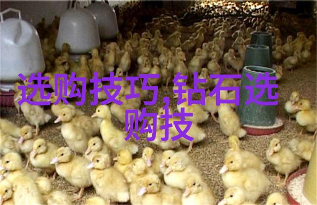 工艺路线和工艺流程图-制定高效生产的关键步骤