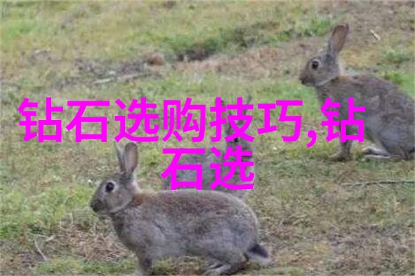 工艺之美织就文化的纹理与光芒