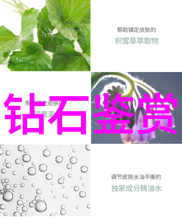 宠物医疗技术我是如何让我的小狗变成健康宝贝的