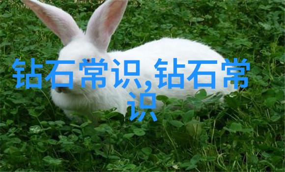 堕落指南男女堕落之路