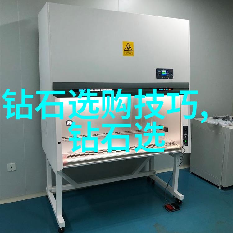 文化包括传统习俗中国的春节庆祝艺术形式日本的茶道演出宗教信仰印度的嘈恼节仪式等多种内容