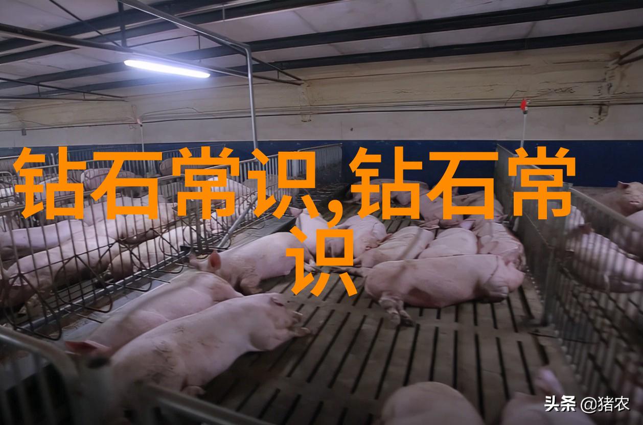 经典故事中的神秘人物究竟是谁