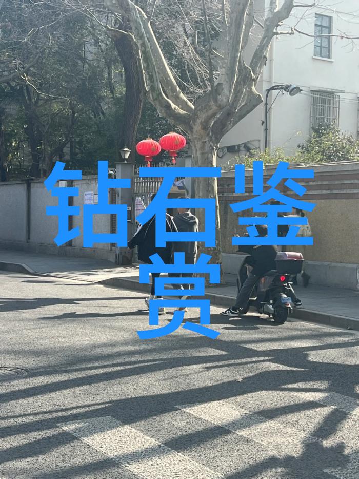 婚纱-绽放的梦想婚纱设计师的艺术探索