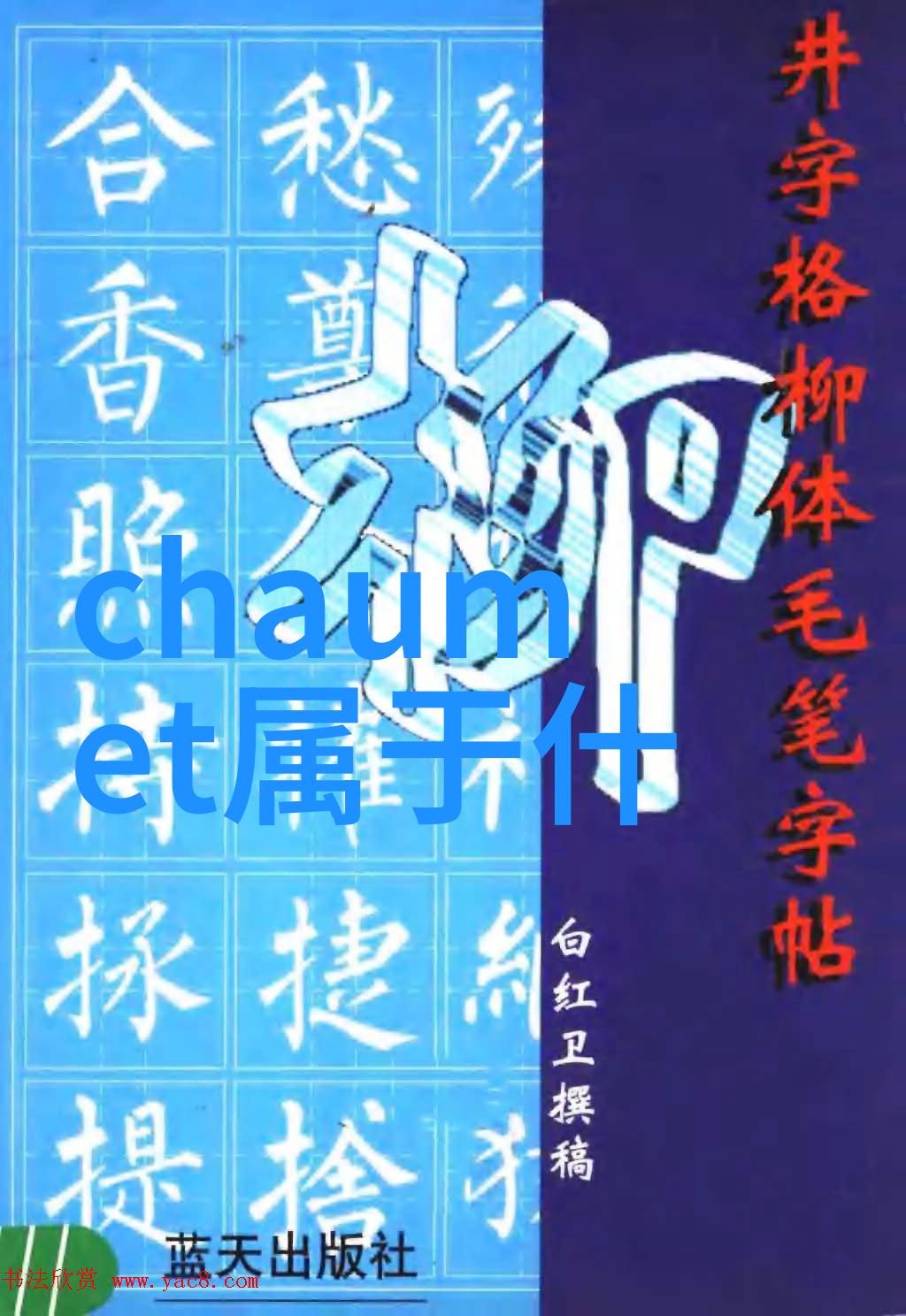 小马为什么会决定在晚上尝试跨越那条广阔的水域