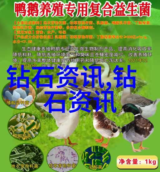 现代社会中的招惹与责任的今天