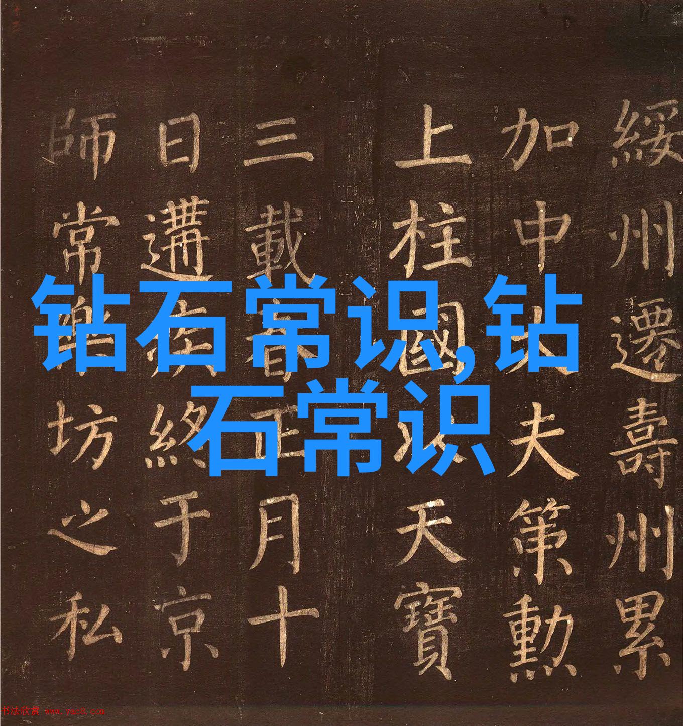 烈日炎炎下的热情追逐