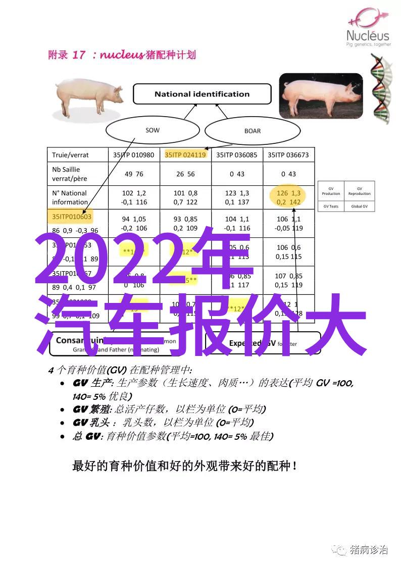 芙蓉颜色我家的那盆花儿为什么总是那么娇艳欲滴