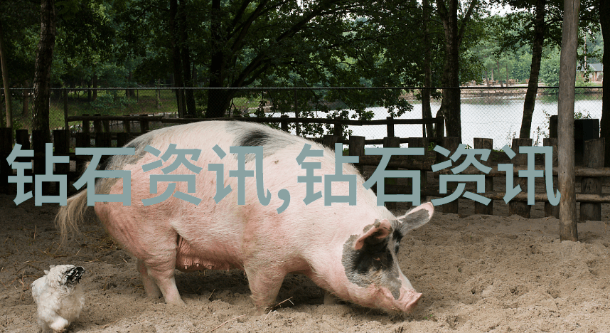 珠宝常识来来来听我慢慢道这玩意儿你知道吗
