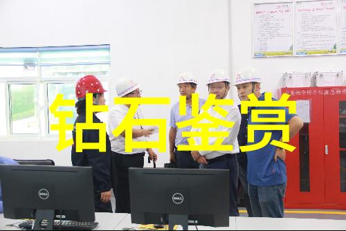 翡翠秘籍揭秘鉴定师的技巧与心得