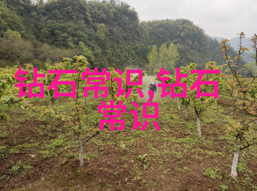 笔下千言解锁六年级生的叙述技巧与策略
