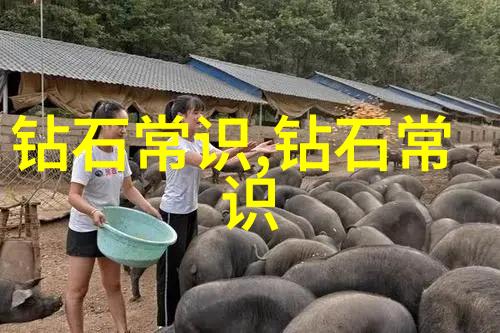 中国文化中的儒家思想及其影响