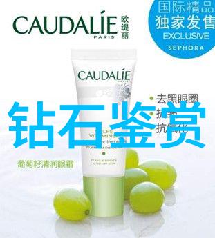 传承汉语文化开拓国际视野对外汉语专业的学术探索与实践