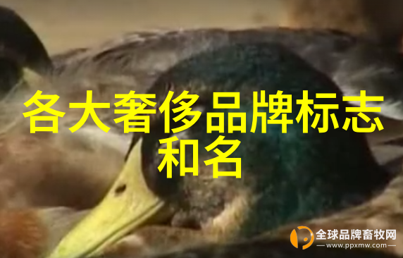世界十大顶级宝石钻石红宝石蓝宝石黄玉绿钻黑钻祖母绿紫水晶