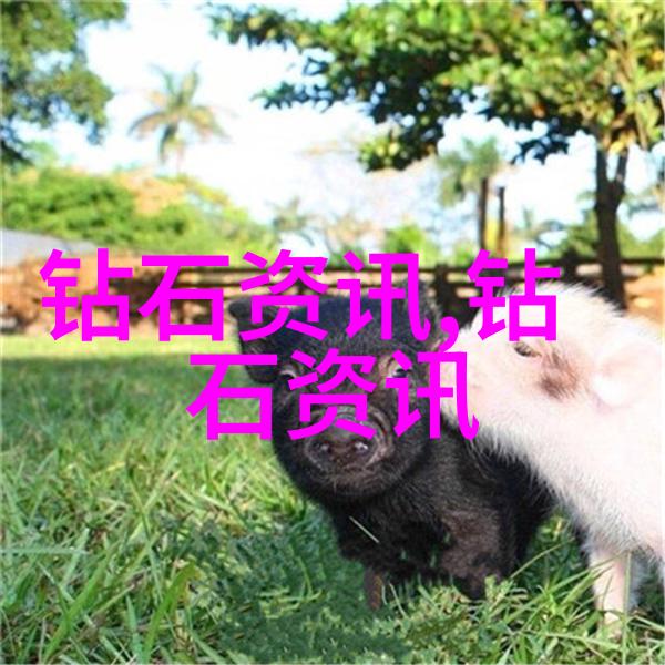 传承与创新探索民间手工艺品的独特魅力