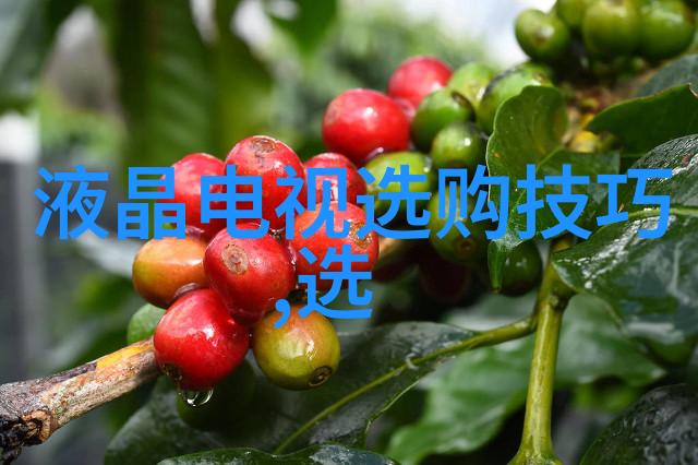 时间的奥秘