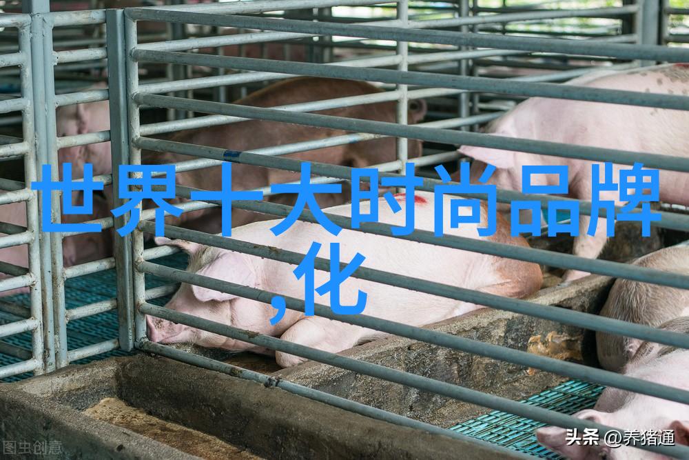 当地球上的声音变成了金钱和权力  探索那片被称为黄金海岸的地方