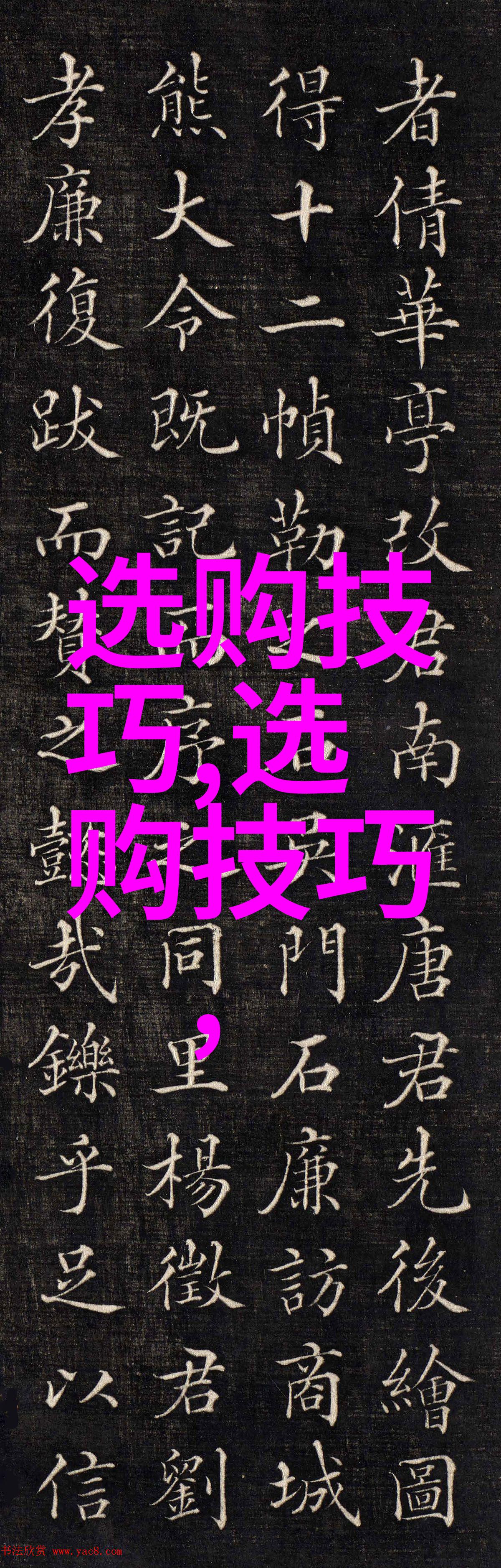 主导工艺流程核心制造技术