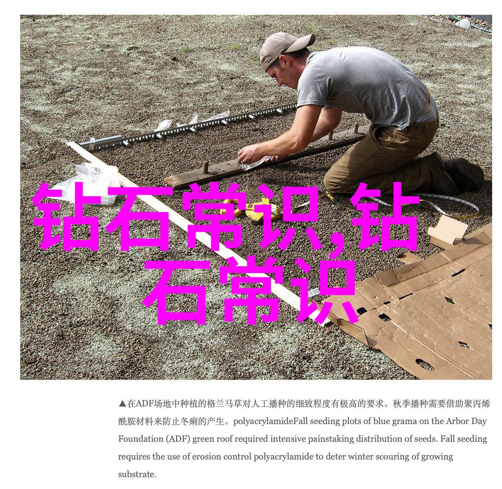 华南首发周大福新品闪耀密斯凡德罗独特魅力等你发现