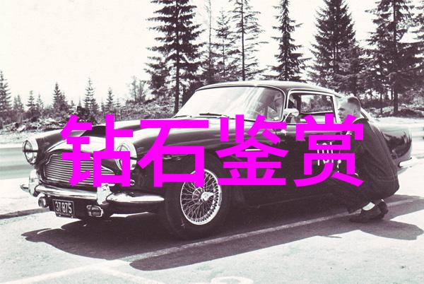 小萝卜头的成长日记阳光下的坚韧