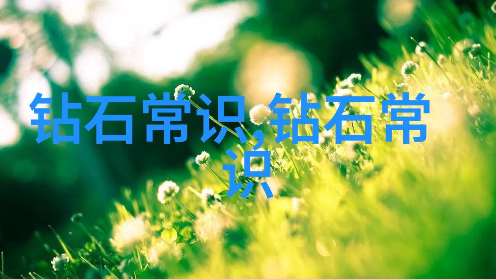 探索中华大地深入了解中国传统文化的魅力与价值