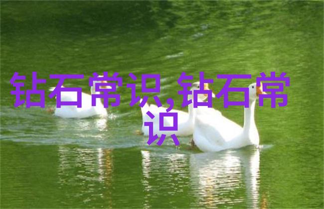 主题-中国古代书法艺术的魅力探索