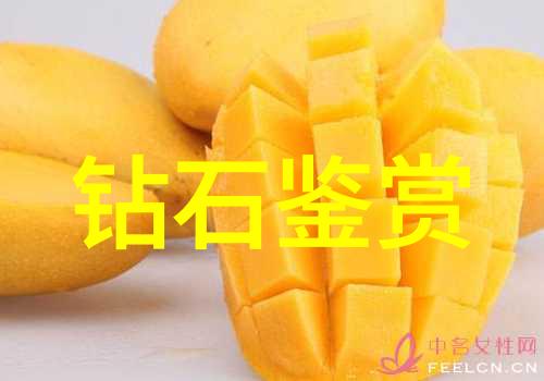 学习工商管理意味着你将掌握哪些技能