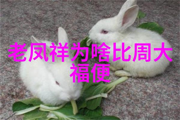 工艺工程师下车间探索实地指导的重要性与挑战