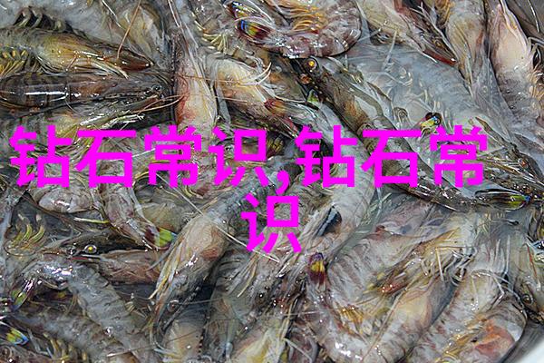 职场挑战与个人成长工作中的磨练与启示