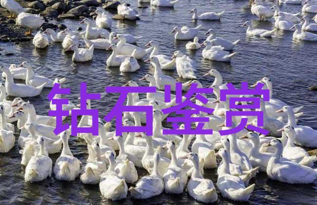 文化的秘密揭开三重面纱的谜团