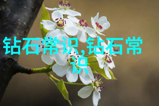 宝庆银楼我在宝庆银楼的那些日子寻找那份旧时光的香