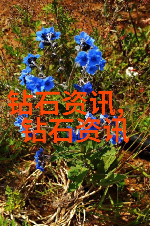 鸭群中的异类一只小生命的奇迹变革
