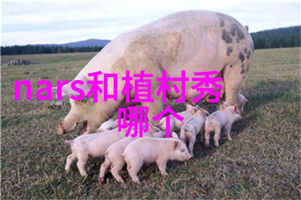 世界上最贵的一颗钻石的价值